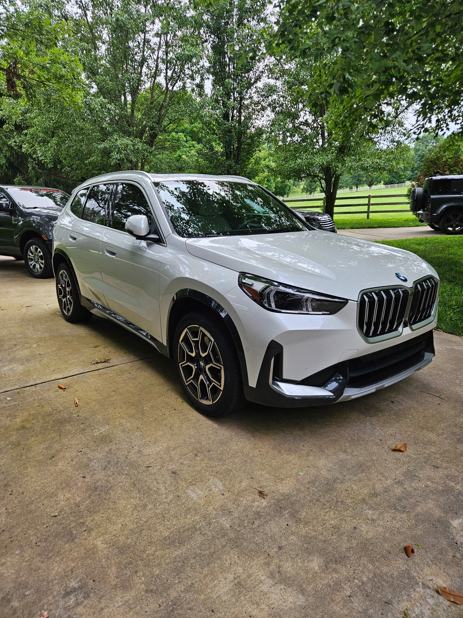 Premium Detail